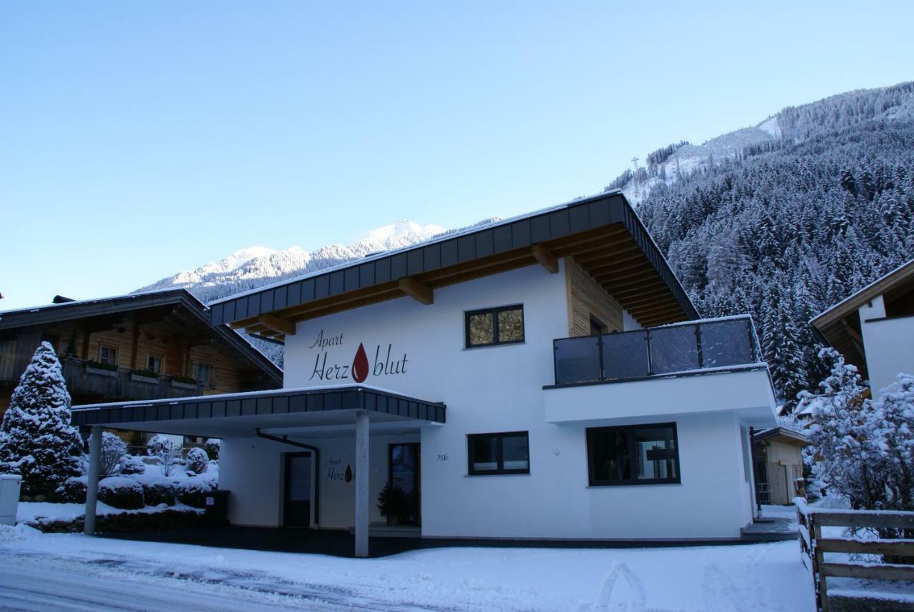 Apart Herzblut Mayrhofen Luaran gambar